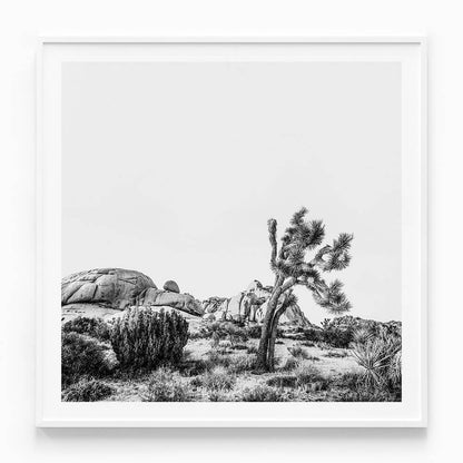 Twentynine Palms