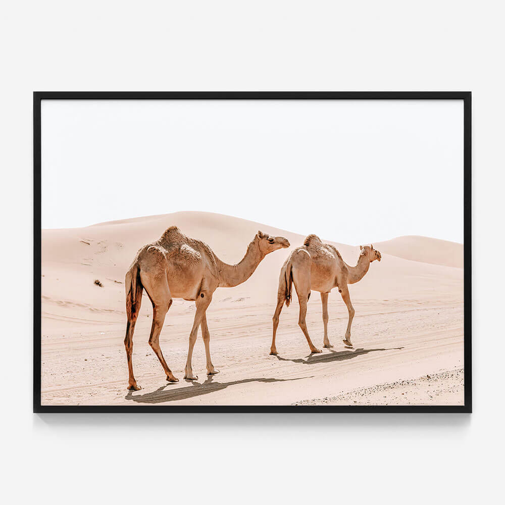 Twin Humps