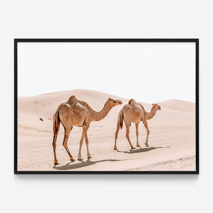 Twin Humps