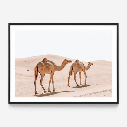 Twin Humps