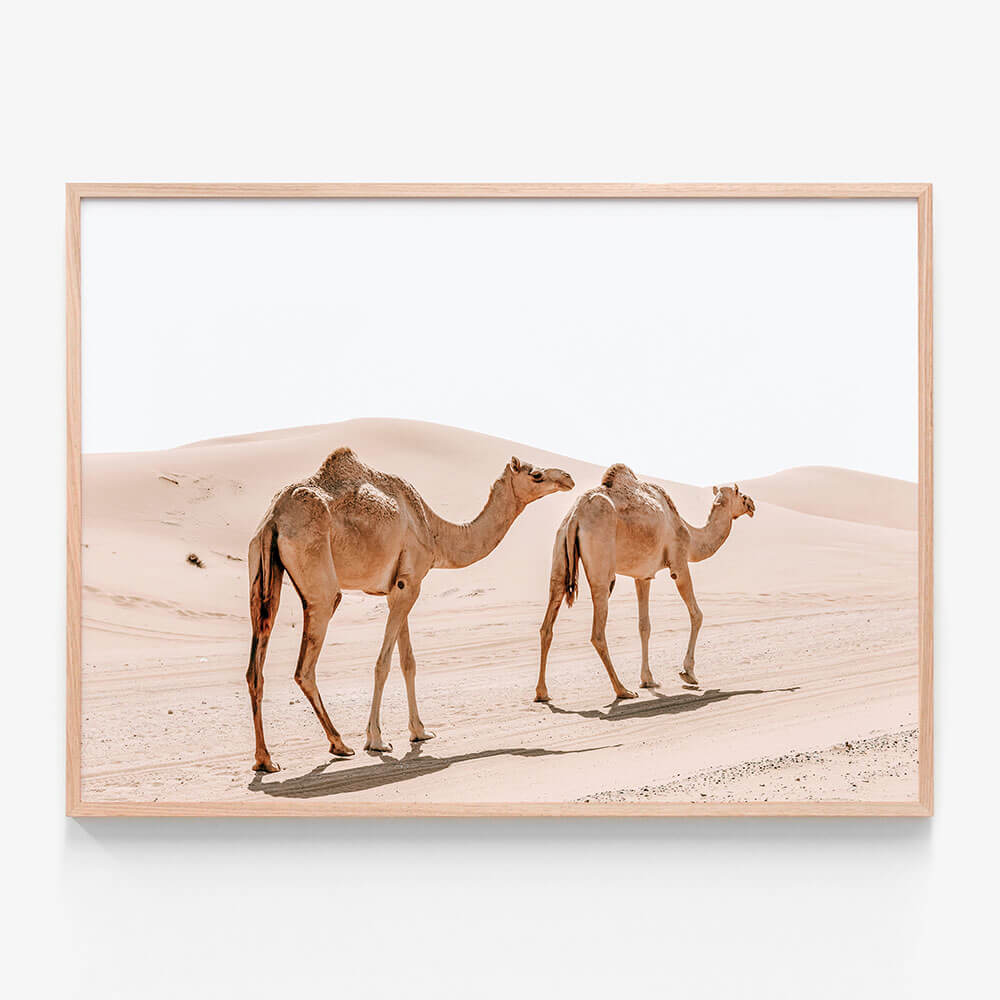Twin Humps