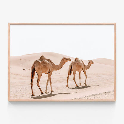 Twin Humps