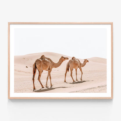 Twin Humps