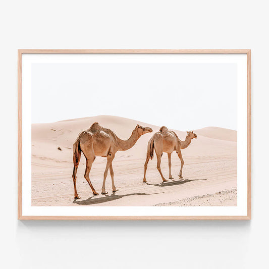 Twin Humps