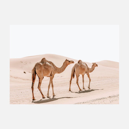 Twin Humps