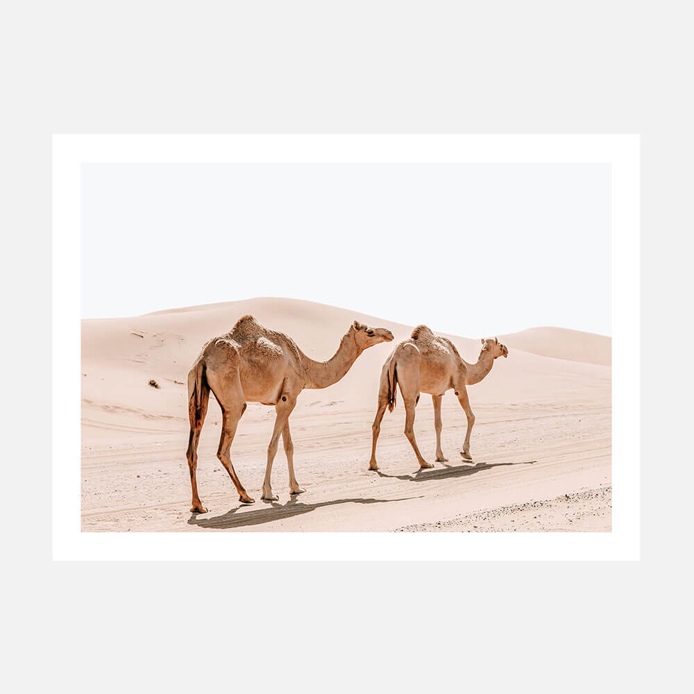 Twin Humps