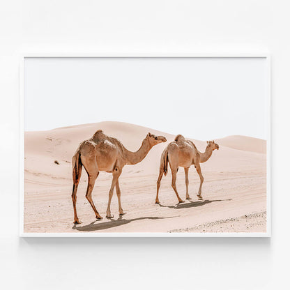 Twin Humps