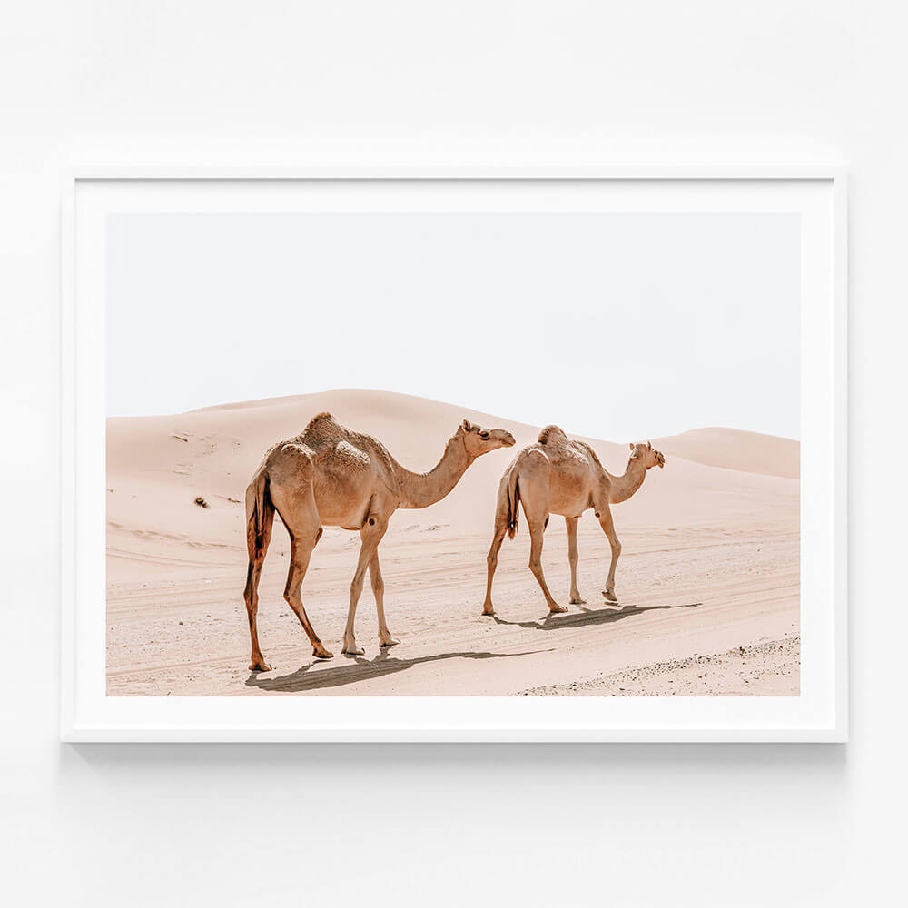 Twin Humps
