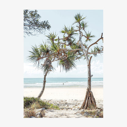 Twin Palms