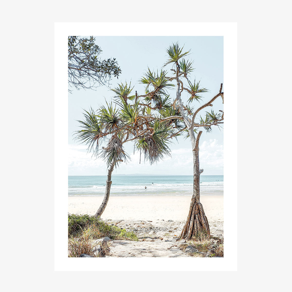 Twin Palms