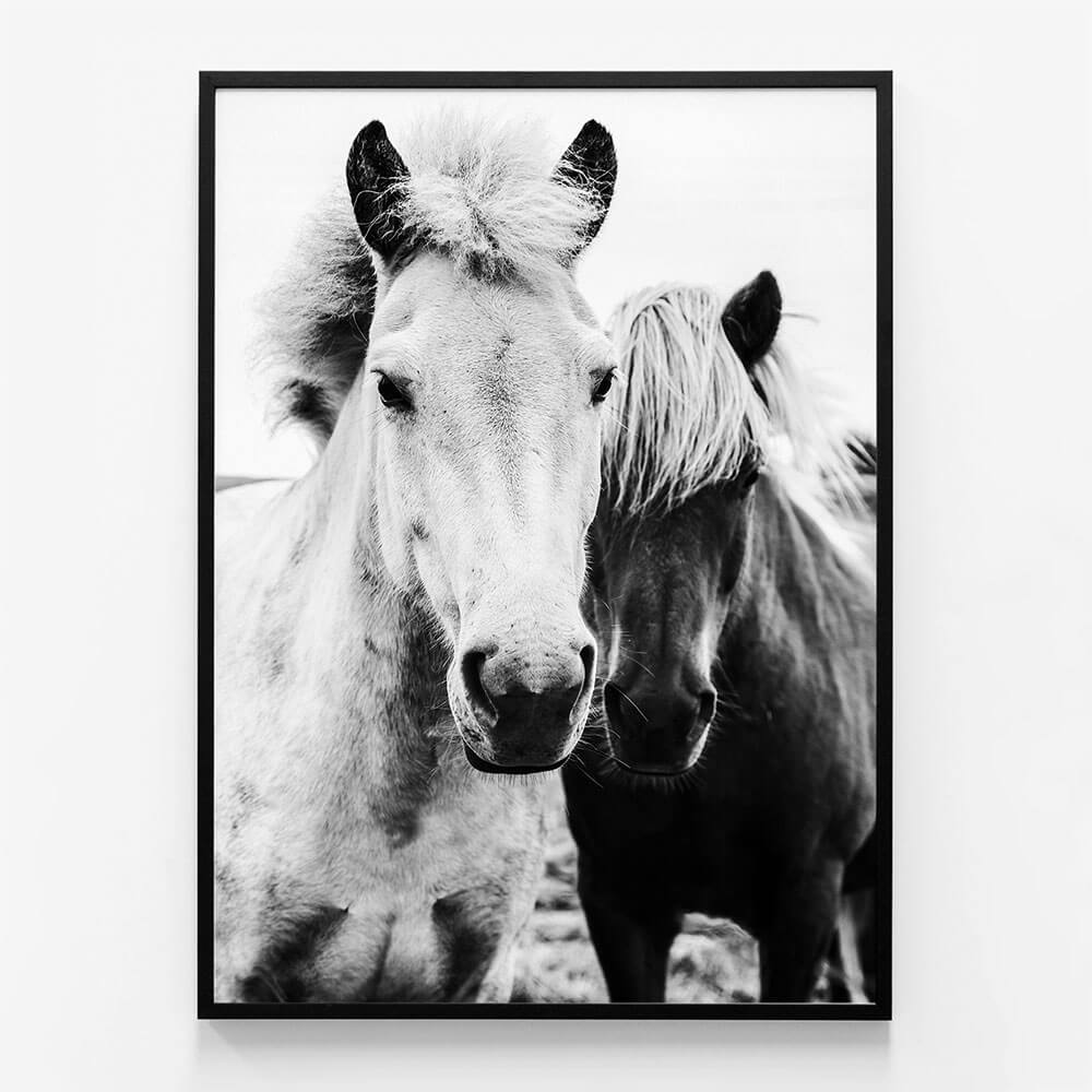 Two Mares