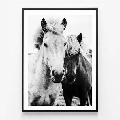 Two Mares