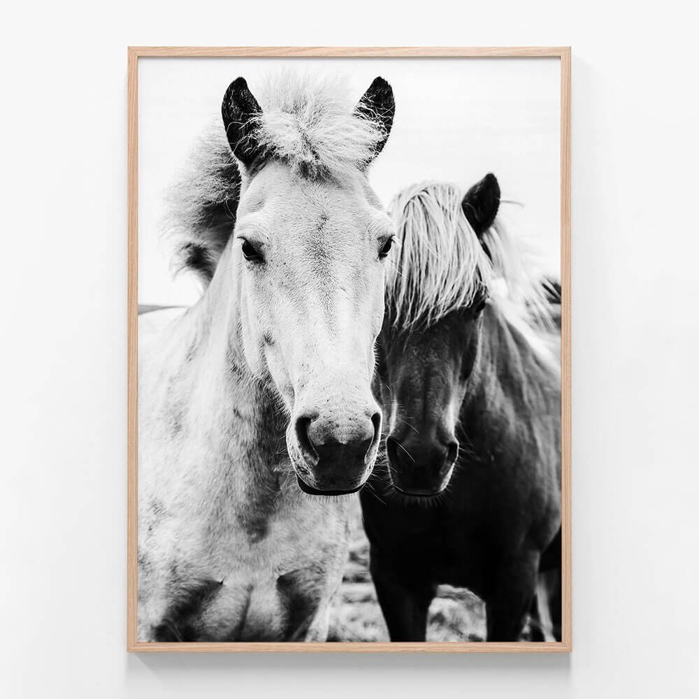 Two Mares