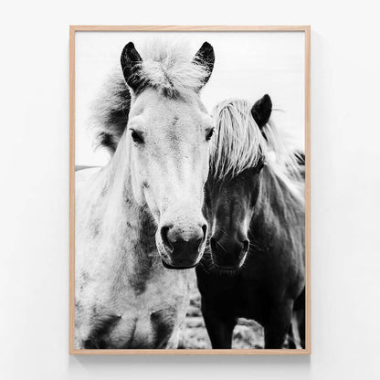 Two Mares