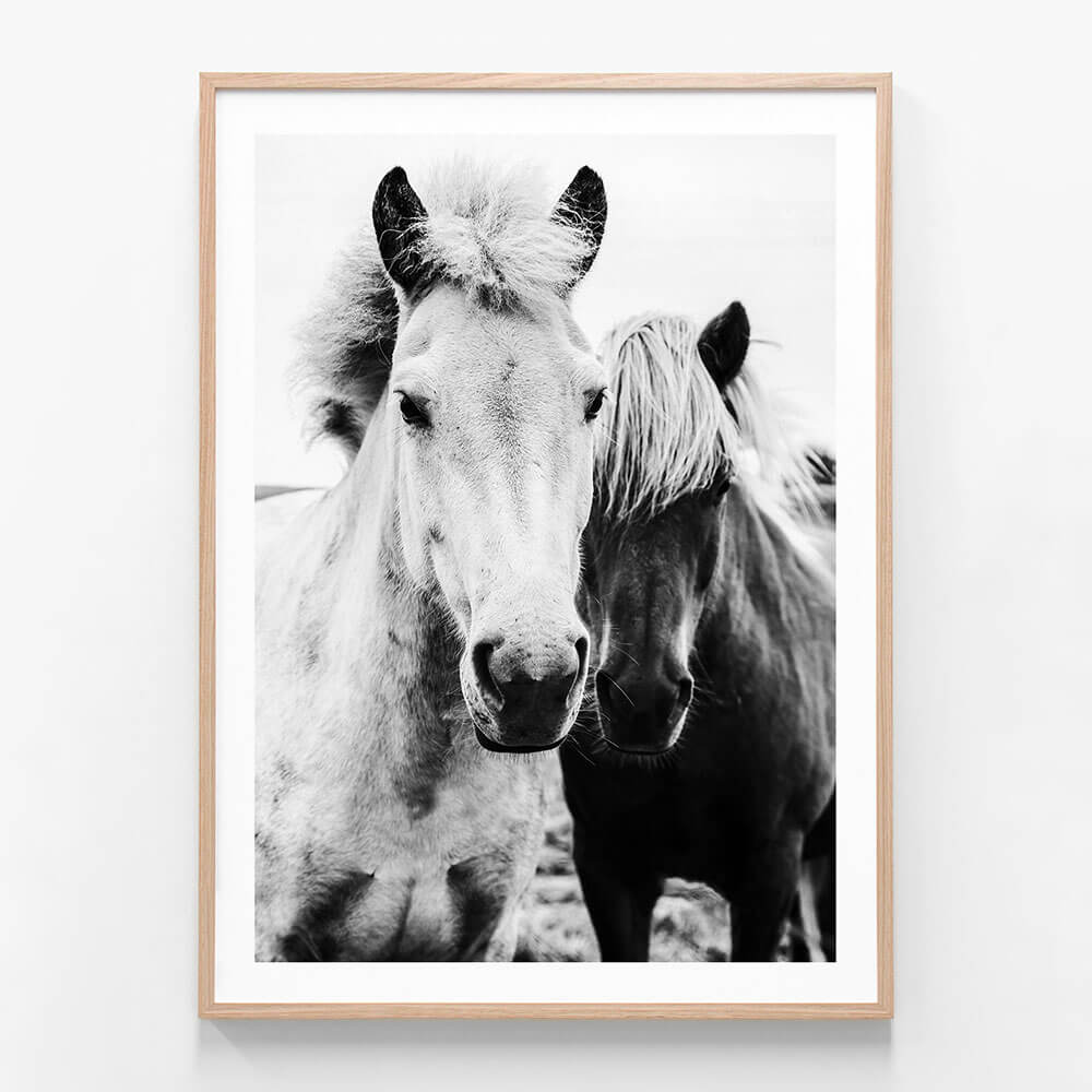 Two Mares