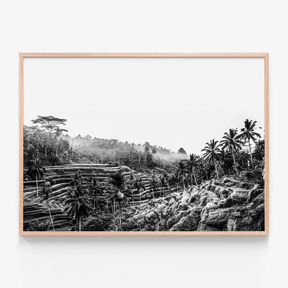Ubud at Sunrise