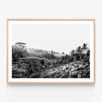 Ubud at Sunrise