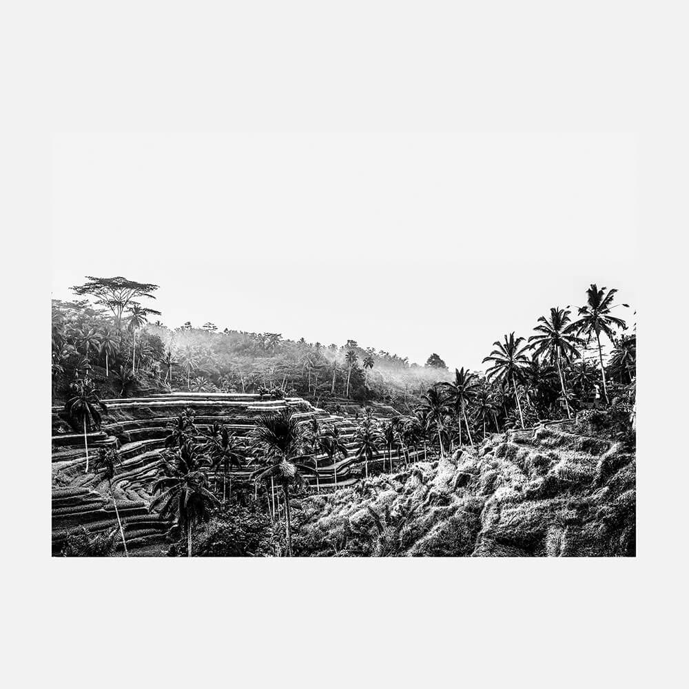 Ubud at Sunrise