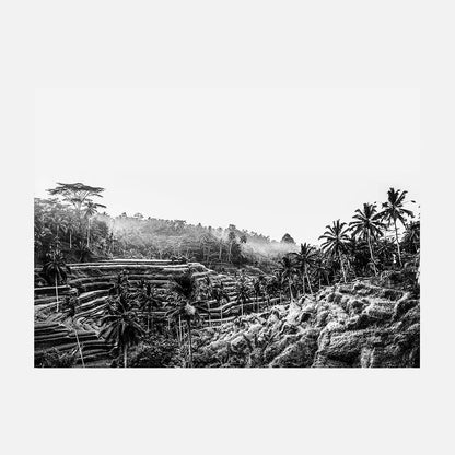 Ubud at Sunrise