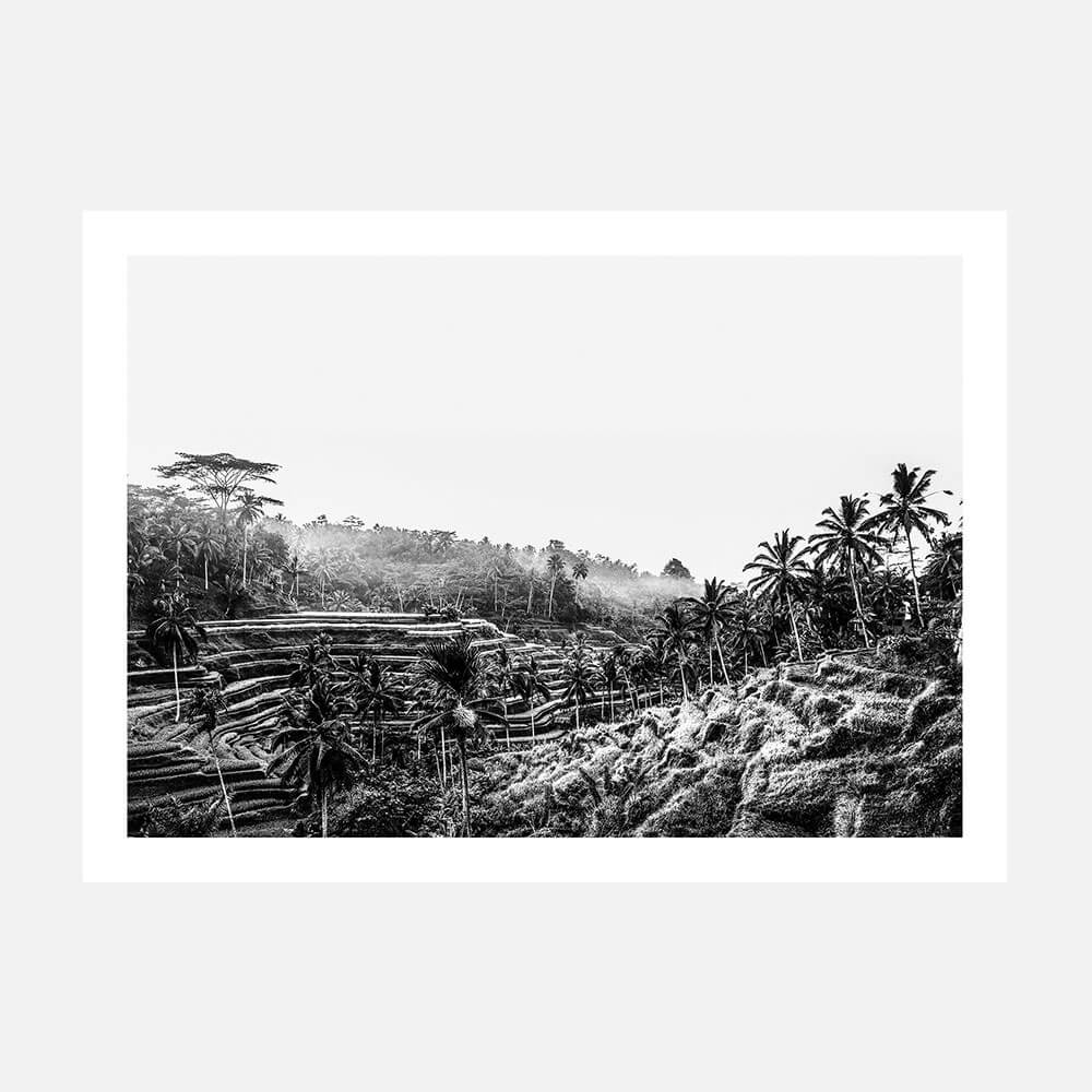 Ubud at Sunrise