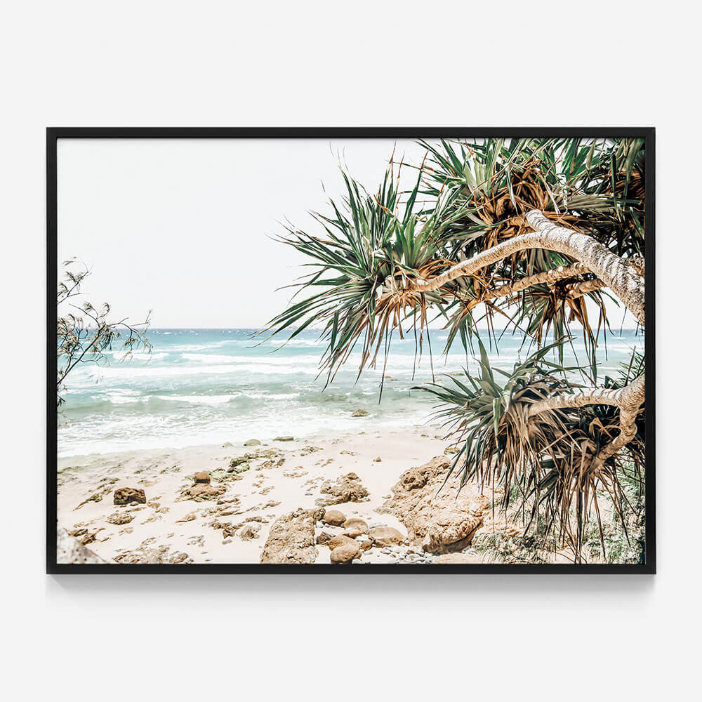 Under the Palms