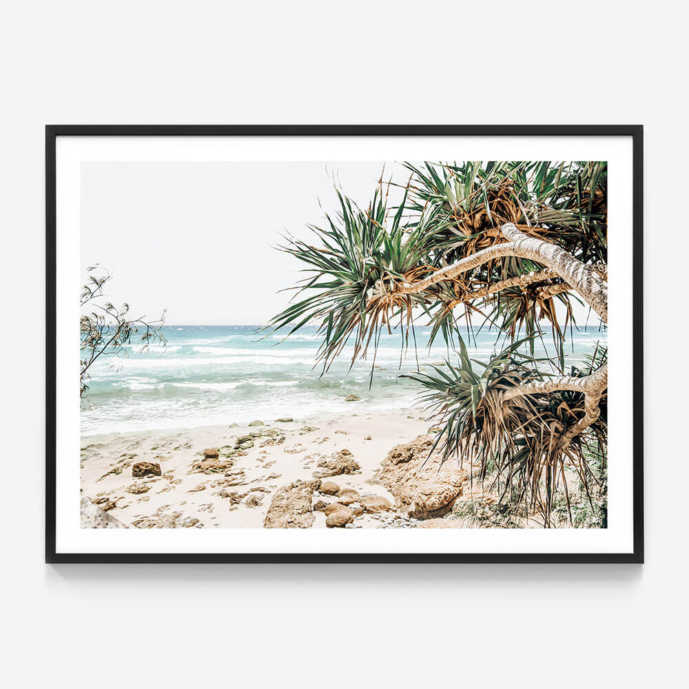 Under the Palms