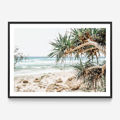 Under the Palms