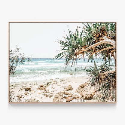 Palms on the beach near Noosa Canvas wall art print with oak float frame