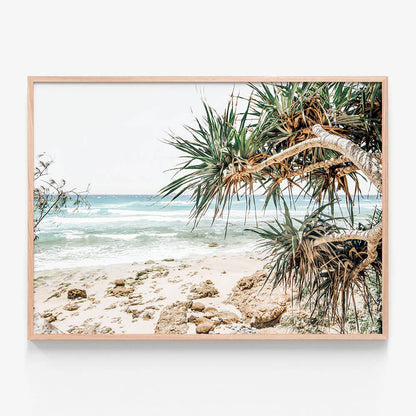 Under the Palms
