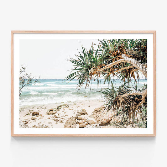 A framed photo wall art print featuring an Australian beach at Noosa with the ocean and pandanus palms.