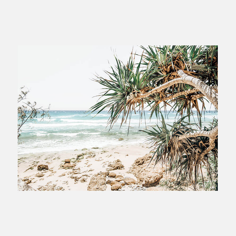 Under the Palms