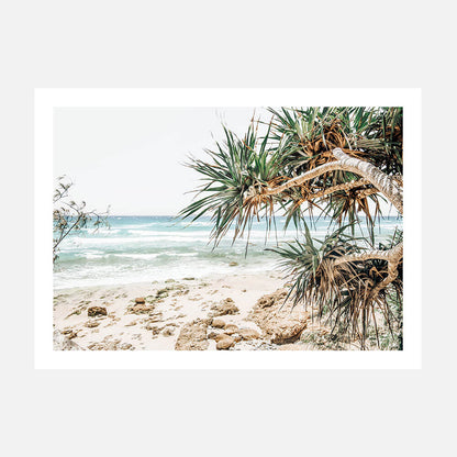A photo wall art print featuring an Australian coastal beach with the ocean and pandanus palm trees