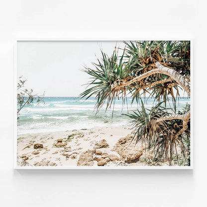 Under the Palms
