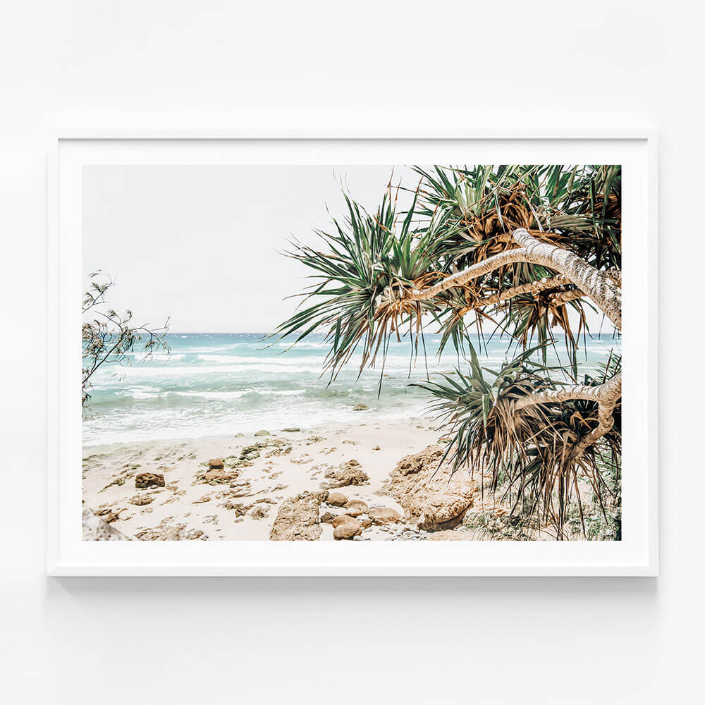Under the Palms