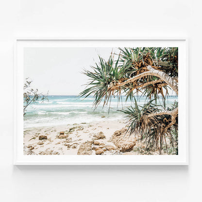 Under the Palms