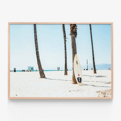 Venice Board