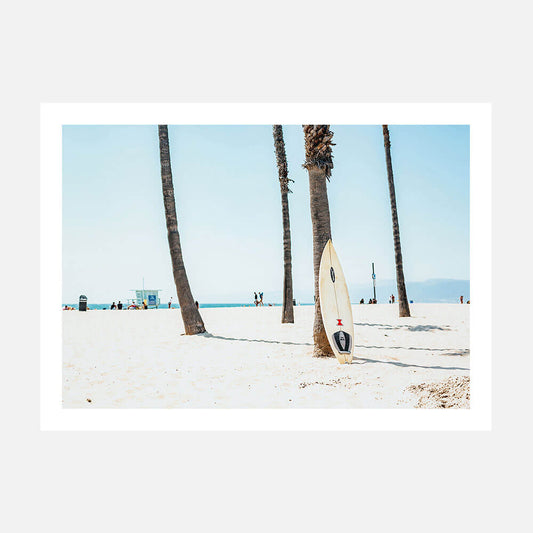 Venice Board