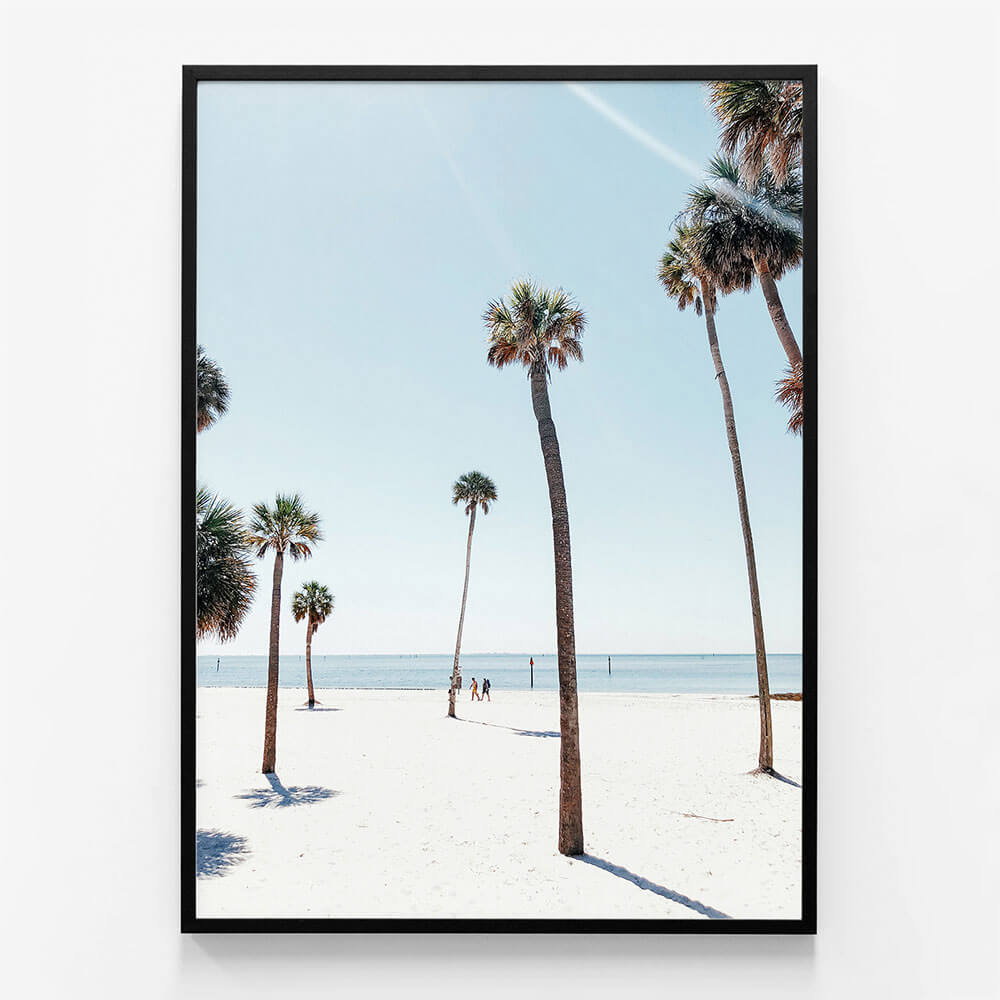 Venice Palms