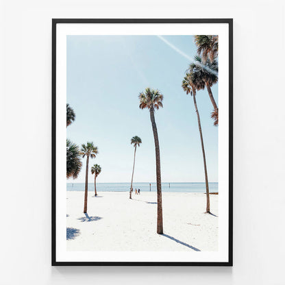Venice Palms