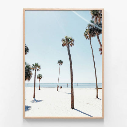 Venice Palms
