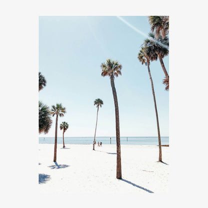 Venice Palms