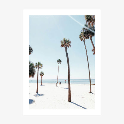 Venice Palms