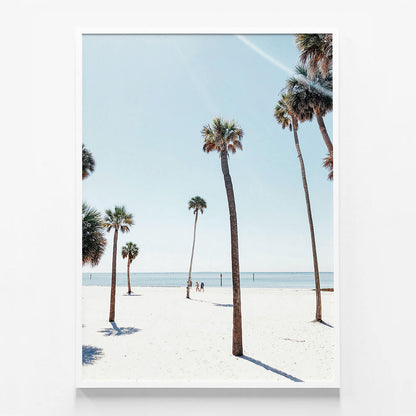 Venice Palms