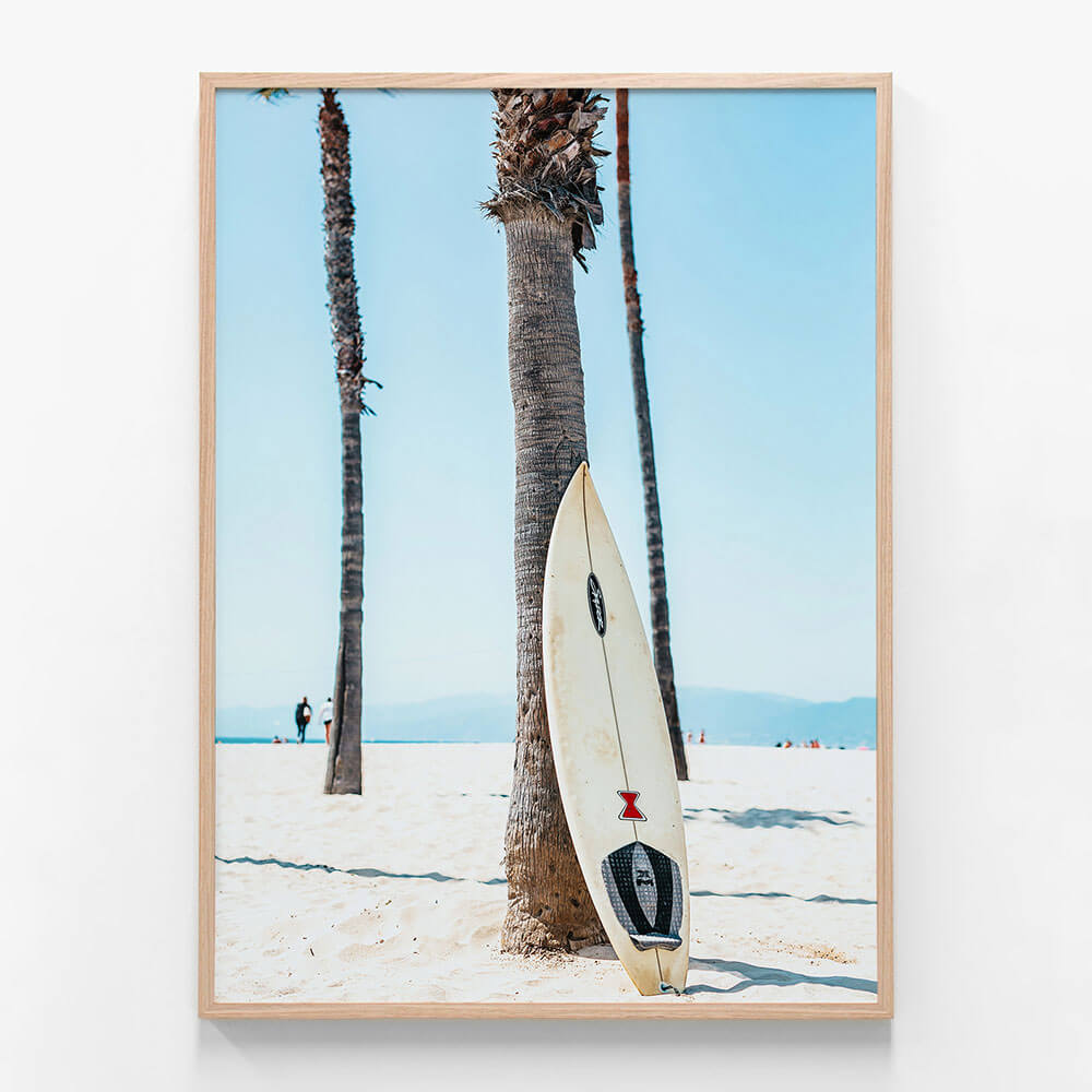 Venice Surf