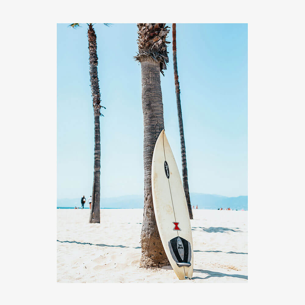 Venice Surf