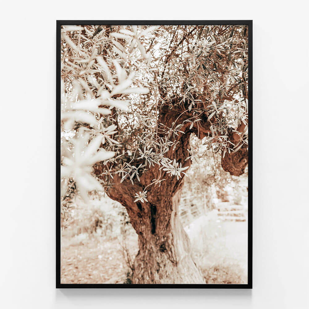 Vintage Grove