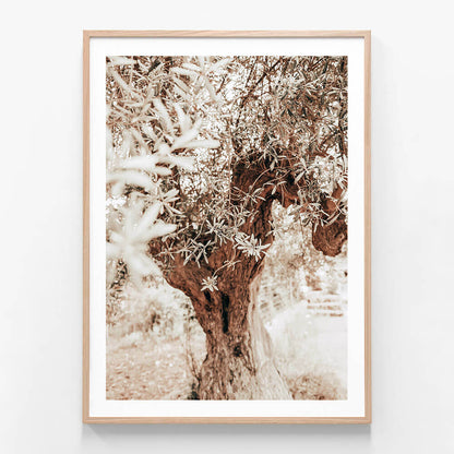 Vintage Grove