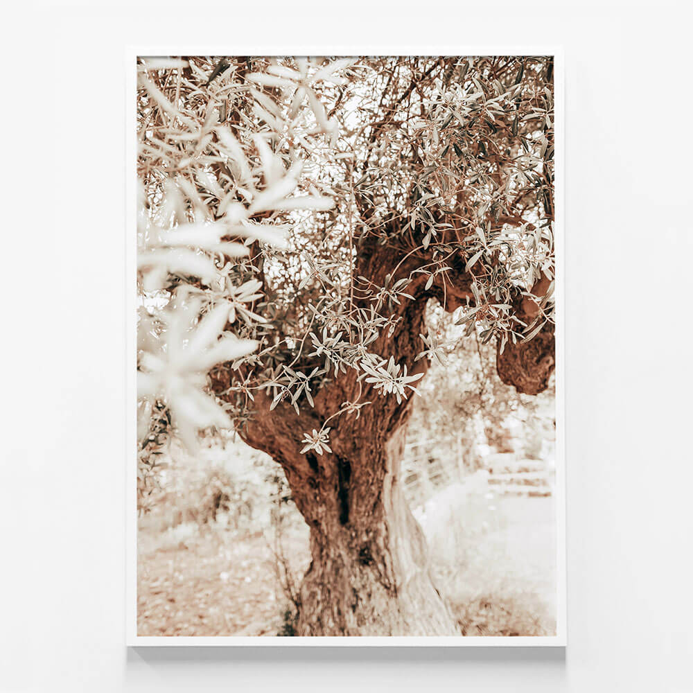 Vintage Grove