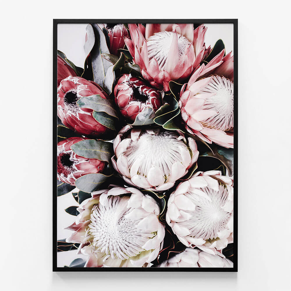 Vintage Protea