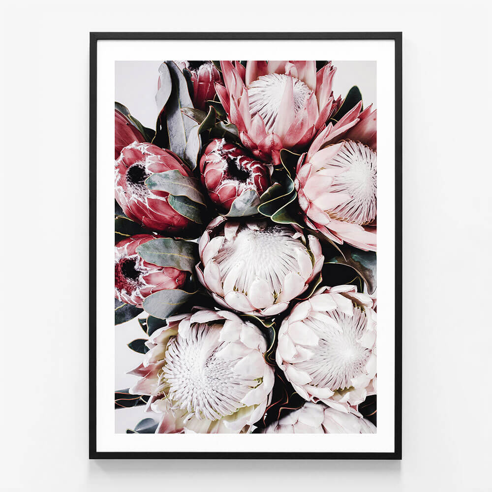 Vintage Protea